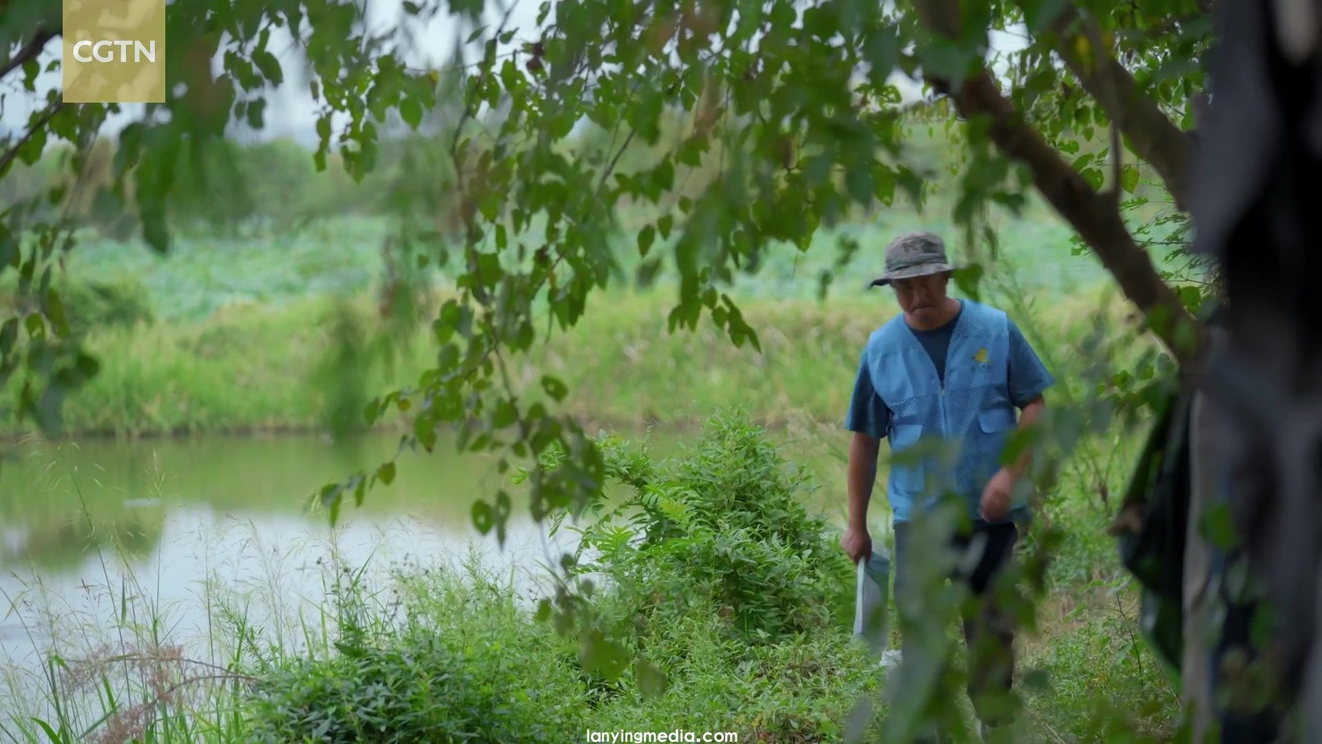 武汉世界湿地大会纪录片：豹懈湖